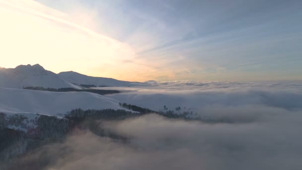 Montanhas Balcânicas Num Ensolarado Inverno Madrugada Central Balkan National Park — Vídeo de Stock