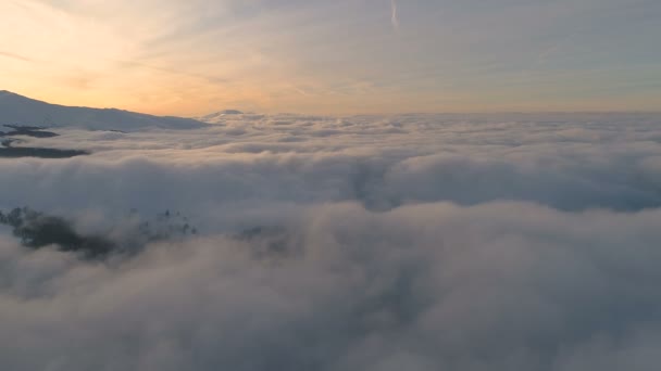 Dessus Nuage Devant Une Forêt Enneigée Des Sommets Montagneux Des — Video