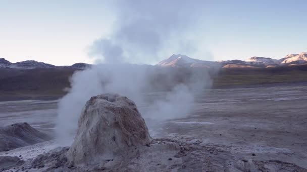 Geyser Tatio Bollono Nel Deserto Atacama Cile Sud America — Video Stock