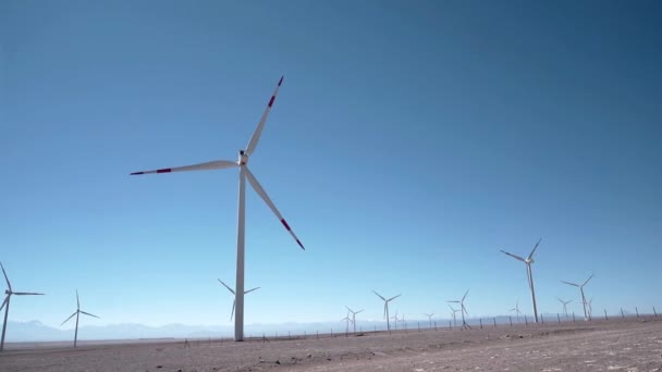 Vindturbiner Vackra Soliga Sommarlandskap Eoliska Parken Grön Ekologisk Energiproduktion — Stockvideo