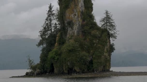 新卵石岩的倾斜揭示 阿拉斯加州峡湾中的一个岩石岛 以周围的植被和海洋为特征 — 图库视频影像