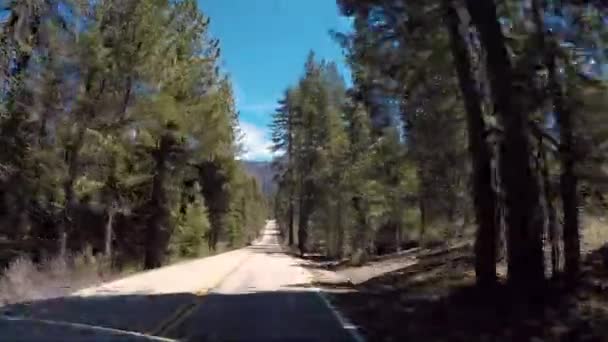 Vezetés Kings Canyon Nemzeti Parkon Keresztül Usa — Stock videók