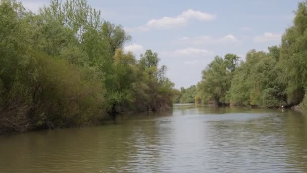 Flyg Fåglar Lille Egret Donaus Naturreservat Delta Ett Kryssningsfartyg Simmar — Stockvideo