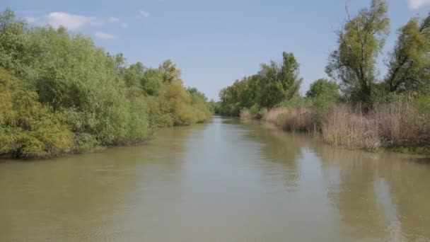 Naturschutzgebiet Delta Der Donau Ein Kreuzfahrtschiff Schwimmt Den Fluss Entlang — Stockvideo