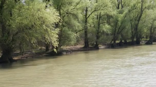 Riserva Naturale Delta Del Danubio Una Nave Crociera Nuota Lungo — Video Stock