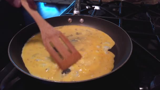 Στατική Βολή Τηγάνισμα Αυγών Ένα Ζεστό Τηγάνι Μια Οικιακή Κουζίνα — Αρχείο Βίντεο