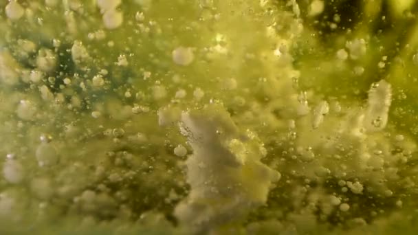 Alien Plantkunde Plant Met Vallende Puin Bel Beweging 60Fps — Stockvideo