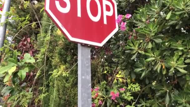 Stop Sign Flowers Green Trees Bushes — Stock Video