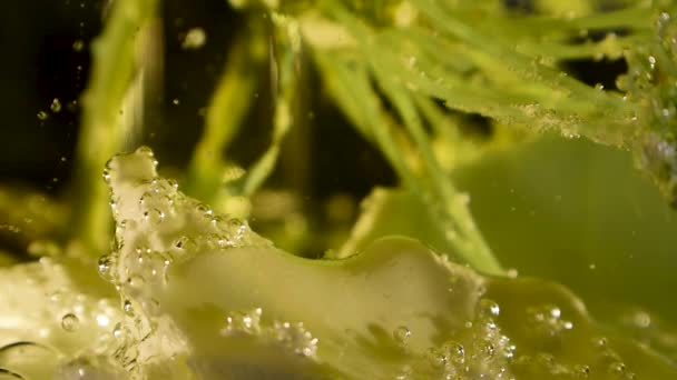 Alien Botany Milky Stalagmite Plant Clear Goo Ripping Floor Bottom — Stock Video