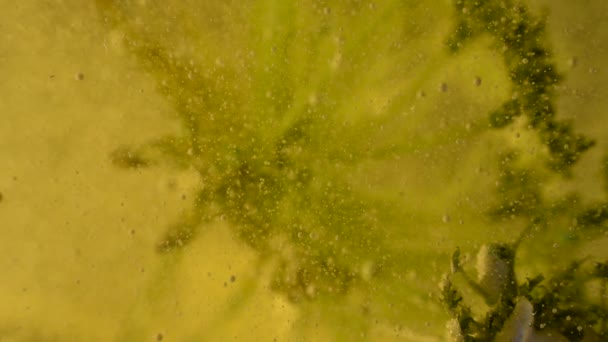 Memindahkan Alien Eksperimen Botani Cair Dengan Gelembung Dan Puing Puing — Stok Video
