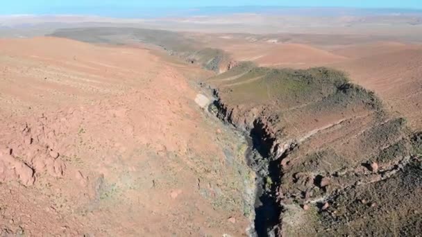 Letecký Pohled Oblíbený Kaktusový Kaňon Poblíž San Pedro Atacama Poušti — Stock video