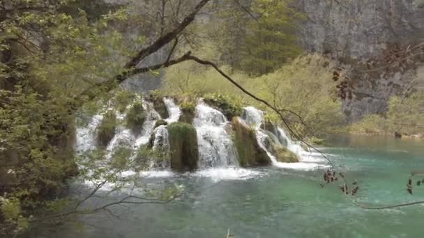 Cascades Dans Forêt Les Montagnes Parc National Plitvice Croatie — Video