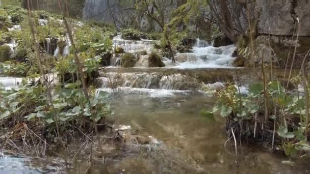Cascades Coulant Sur Les Rochers Couverts Mousse Dans Parc National — Video