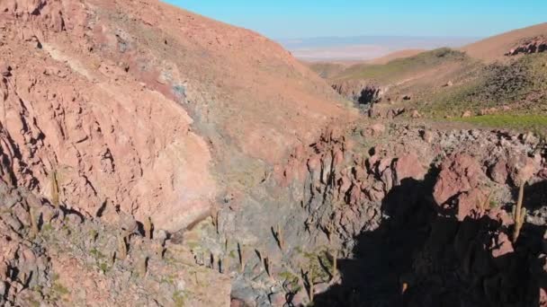 Vue Aérienne Célèbre Canyon Trekking Sur Cactus Géant Près San — Video