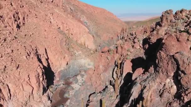 アタカマ砂漠 チリ北部 南米のサンペドロ アタカマ近くの人気のある巨大なサボテン峡谷の近くの空中ビュー — ストック動画