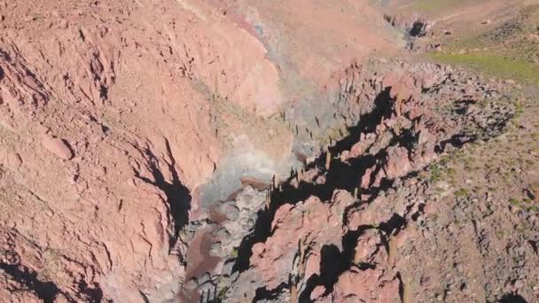 Zdjęcie Lotnicze Popularnego Gigantycznego Kanionu Kaktusowego Pobliżu San Pedro Atacama — Wideo stockowe