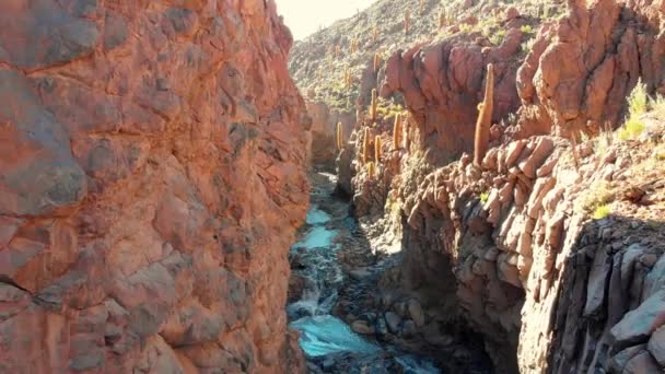 在智利北部阿塔卡马沙漠靠近圣佩德罗德阿塔卡马的一个受欢迎的巨大仙人掌峡谷内拍摄的空中电影 — 图库视频影像