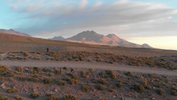 アタカマ砂漠 南米の崖の近くに孤独な旅行者と未舗装の道路の空中映画撮影 — ストック動画