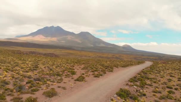 Luchtfoto Van Een Prachtige Omgeving Een Onverharde Weg Atacama Woestijn — Stockvideo