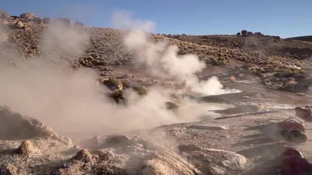 Géiseres Tatio Humeando Desierto Atacama Chile América Del Sur — Vídeos de Stock