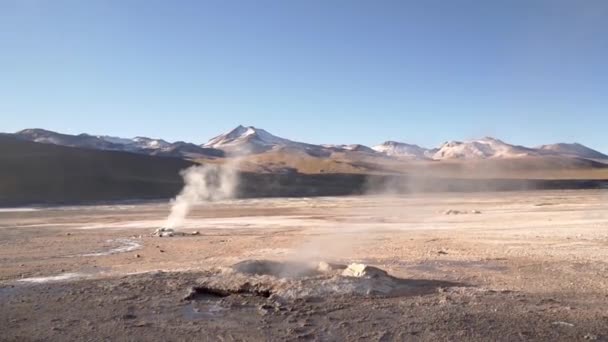 Geyser Tatio Nel Deserto Atacama Cile Sud America — Video Stock