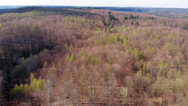 Amber Mountain Sanctuary Bursztynowa Gra Lublewo Gdaskie Lengyelország — Stock videók