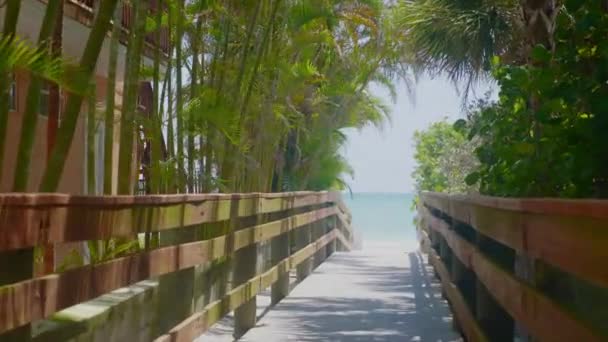 Plážové Stezce Pláži Floridě — Stock video