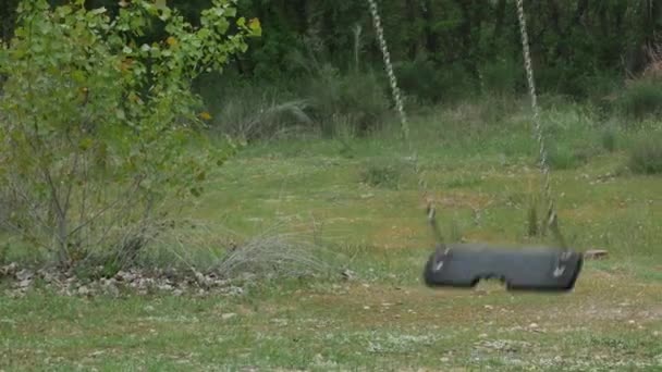 Eine Leere Schaukel Schaukelt Einem Park Der Nähe Eines Waldes — Stockvideo