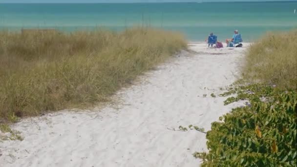 Пара Розслабляється Кінці Пляжного Шляху Спостерігаючи Океаном — стокове відео
