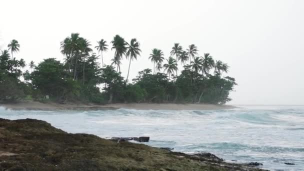 プエルトリコの海岸に衝突する波 — ストック動画