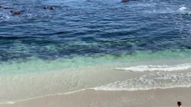 Tak Się Cieszę Końcu Mamy Lato Chłopiec Kąpielówkach Skacze Radości — Wideo stockowe