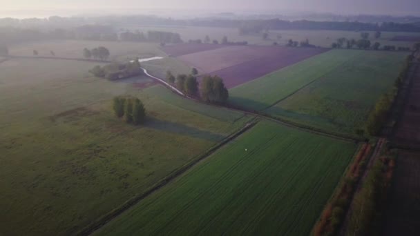 Vista Aerea Panoramica Verde Terreni Agricoli Nella Campagna Della Polonia — Video Stock