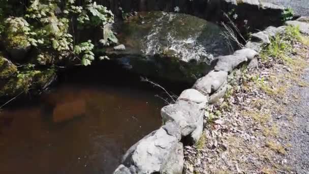 Starożytny Most Małym Dolinie Fife Szkocja Małym Oparzeniem Rzeka Przepływającym — Wideo stockowe