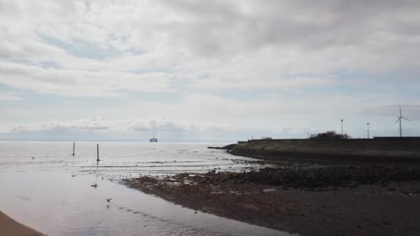 Rivière Écossaise Coulant Dans Mer Marée Basse Avec Canard Courant — Video