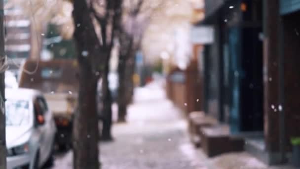 Дві Дівчинки Які Гуляють Вулиці Кореї Намагаючись Зловити Пелюстки Сакурового — стокове відео