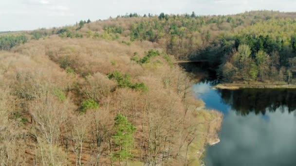 Otomin Jezero Les Jezioro Otominskie Dron Vzdušný Výstřel — Stock video