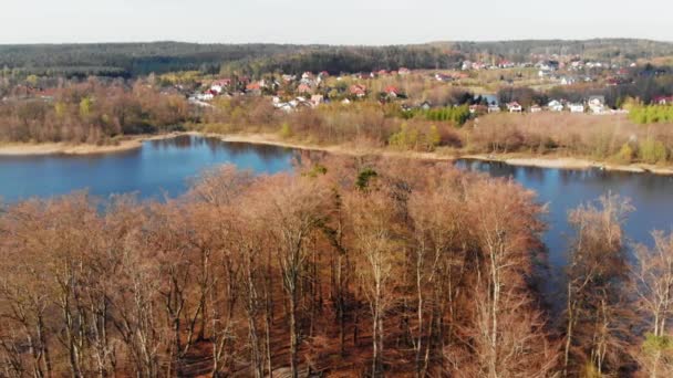 Otomin Jezero Les Jezioro Otominskie Dron Vzdušný Výstřel — Stock video