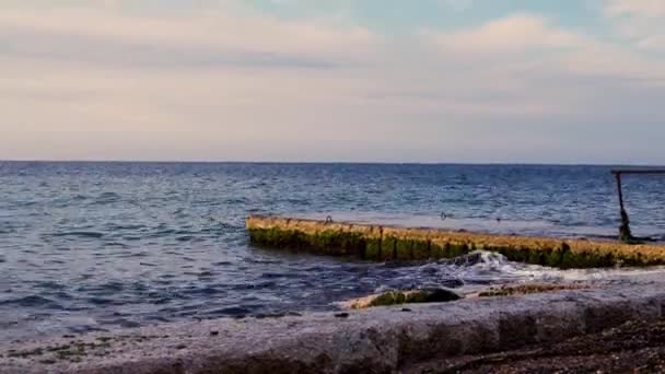 Calm Sea Waves Splashing Sea Dock Gently Buggiba Malta — Stock Video