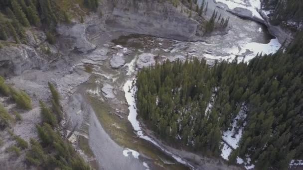 Corvo Solitario Vola Attraverso Canyon Del Fiume Boreale Primavera — Video Stock