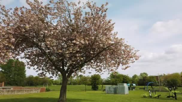 Parc Jeux Pour Enfants Situé Intérieur Une Aire Jeux Générale — Video