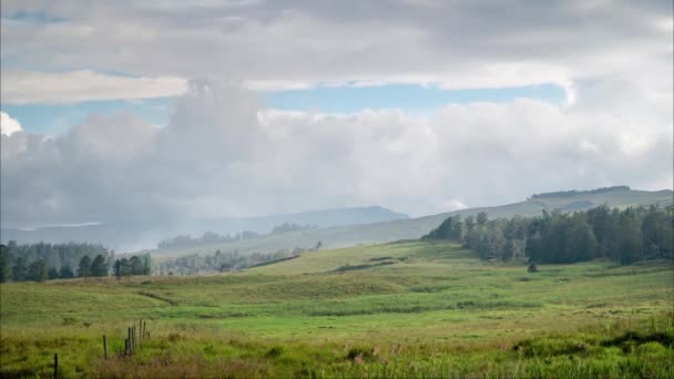 Zeitraffer Wolken Verdunkeln Sommerhimmel Über Graswiese Weide Östliches Hochland Papua — Stockvideo