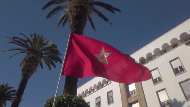 Rabat Fas Taki Sömürge Binalarının Önünde Palmiye Ağaçlarının Altında Dalgalanan — Stok video