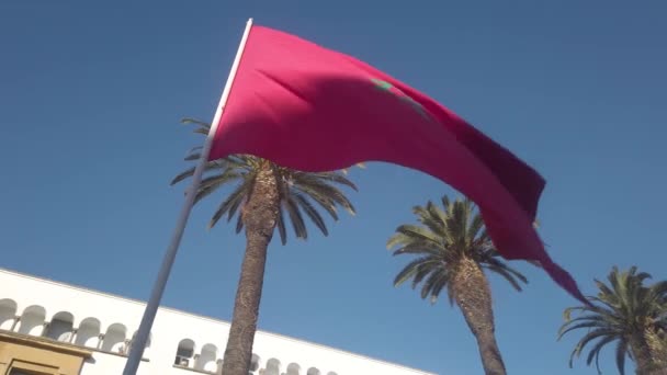 Bandera Marroquí Ondeando Bajo Palmeras Frente Edificios Coloniales Rabat Marruecos — Vídeos de Stock