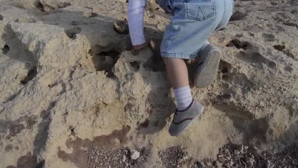 Nettes Kind Zwei Jahre Alter Junge Klettert Auf Den Stein — Stockvideo
