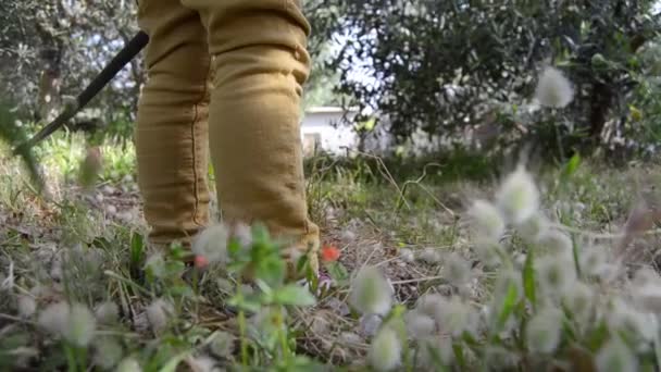 静止不动地拍摄带有花朵的鹰嘴豆 脚踏着脚踏过镜头停在镜头前 — 图库视频影像
