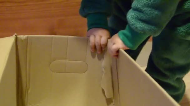 Niedliches Kind Dinosaurier Kostüm Spielt Hause Mit Pappschachtel — Stockvideo