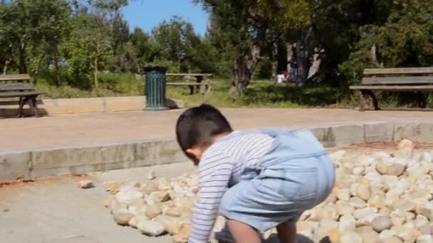 Netter Zweijähriger Junge Spielt Mit Steinen Park — Stockvideo