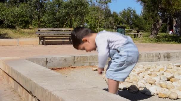 Leuke Twee Jaar Oude Jongen Spelen Met Stenen Het Park — Stockvideo