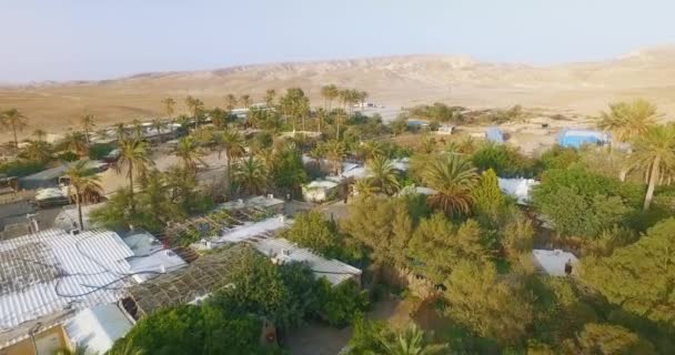 砂漠の山のヤシの木の村 — ストック動画