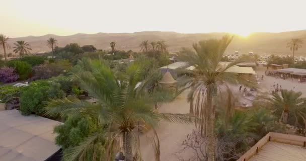 夕日の間にヤシの木がある砂漠の幸せな村を歩く人々 — ストック動画